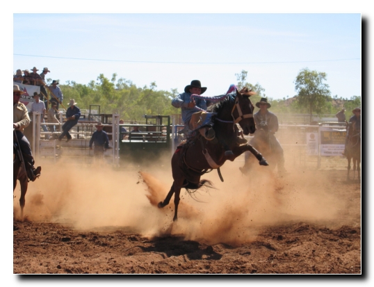 13 Rodeo auf dem Pferd